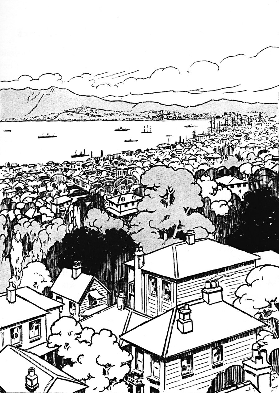 Wellington, 1912 by Charles Robinson