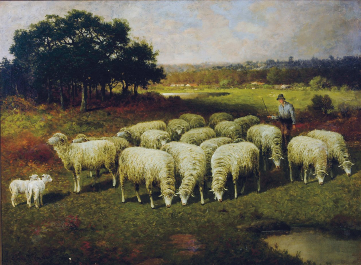 Tarlada koyunlarıyla bir çoban, 1898 by Charles T. Phelan