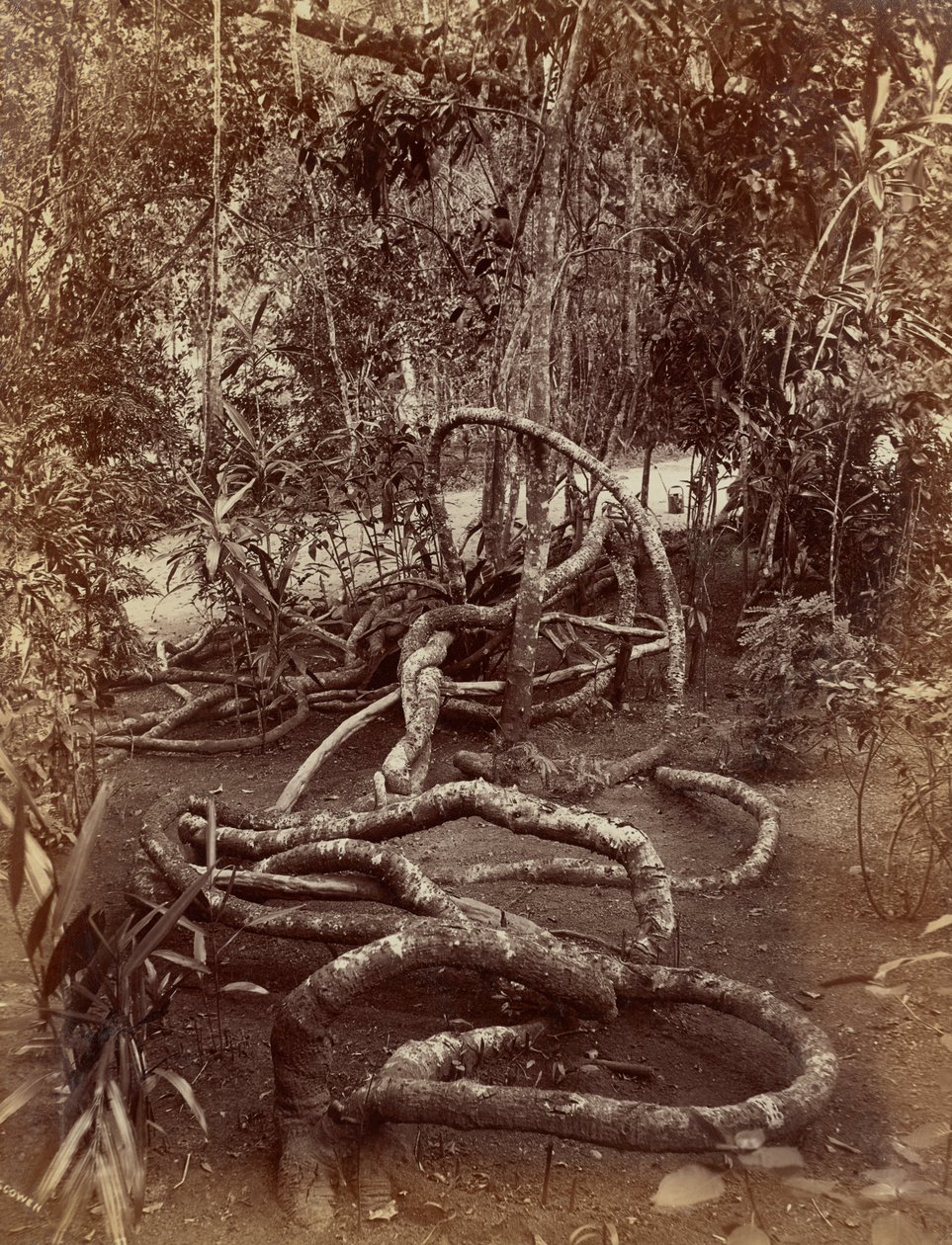  by Charles T. Scowen