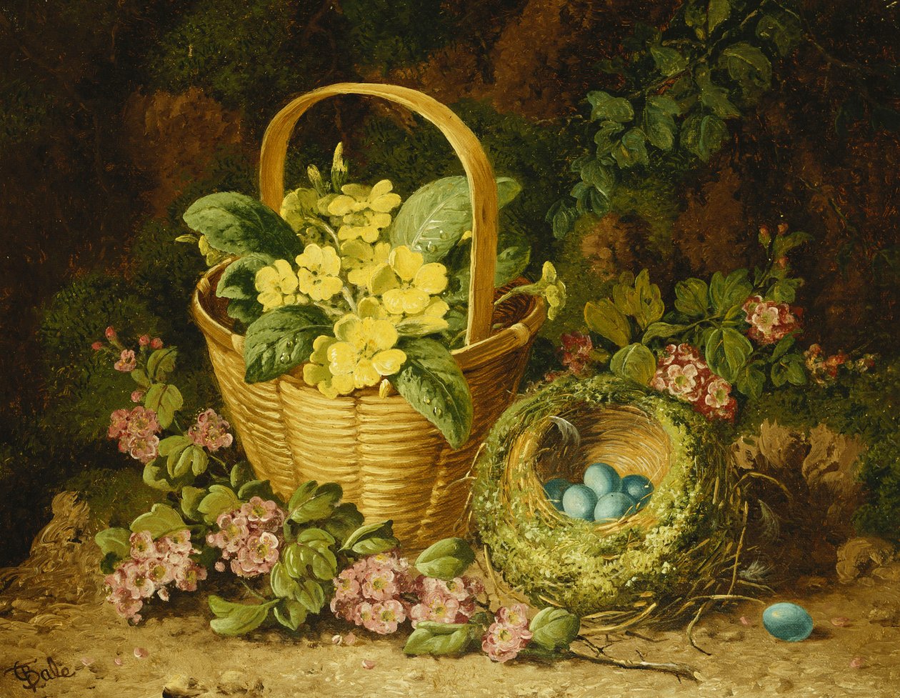 Sepette çuha çiçeği, Japonica ve Kuş Yuvası, by Charles Thomas Bale