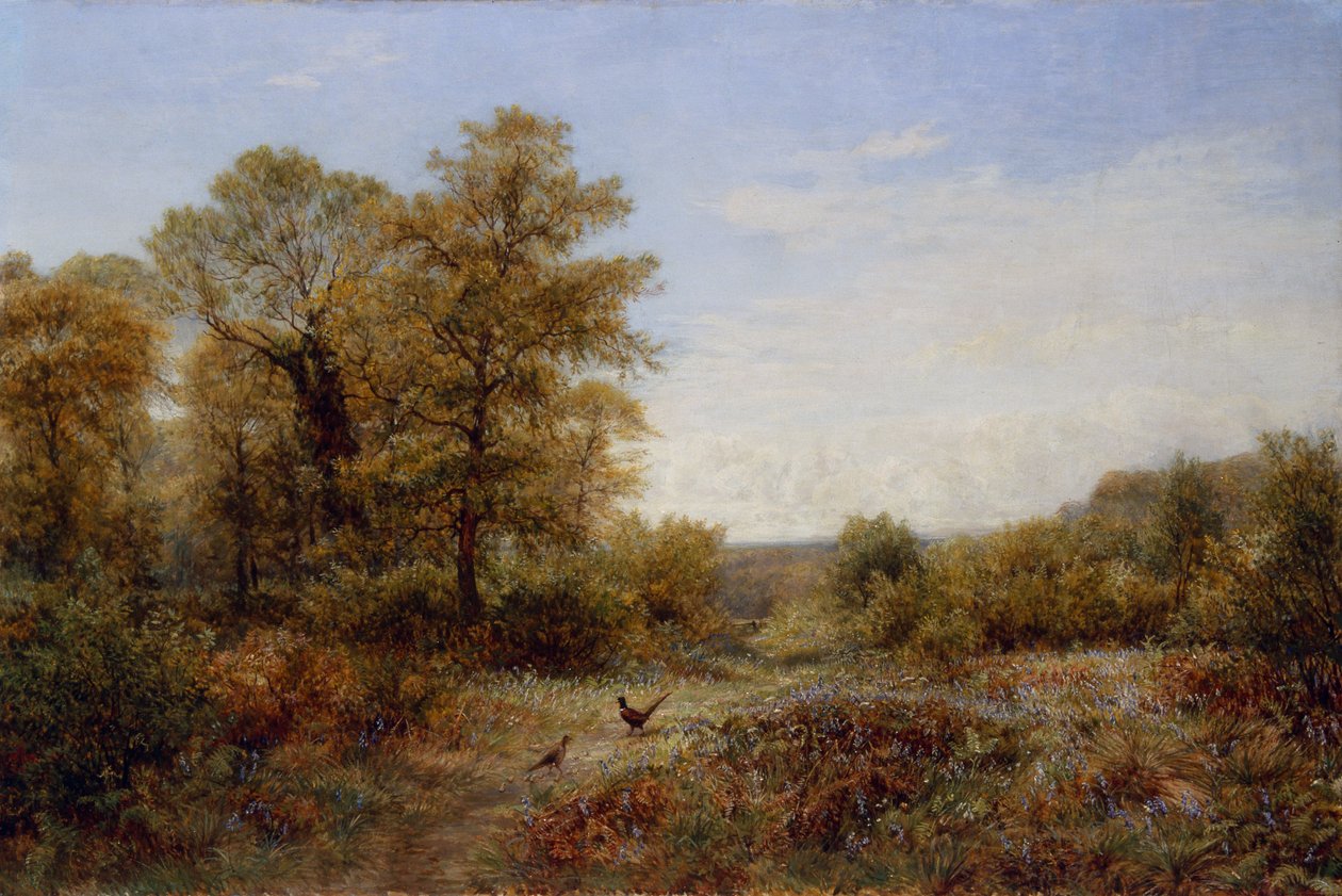  by Charles Thomas Burt