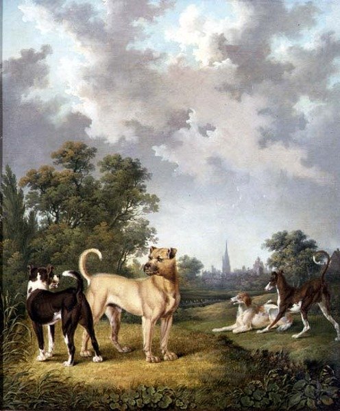 Manzaradaki Köpekler, 1820 dolayları (tuval üzerine yağlı boya) by Charles Towne