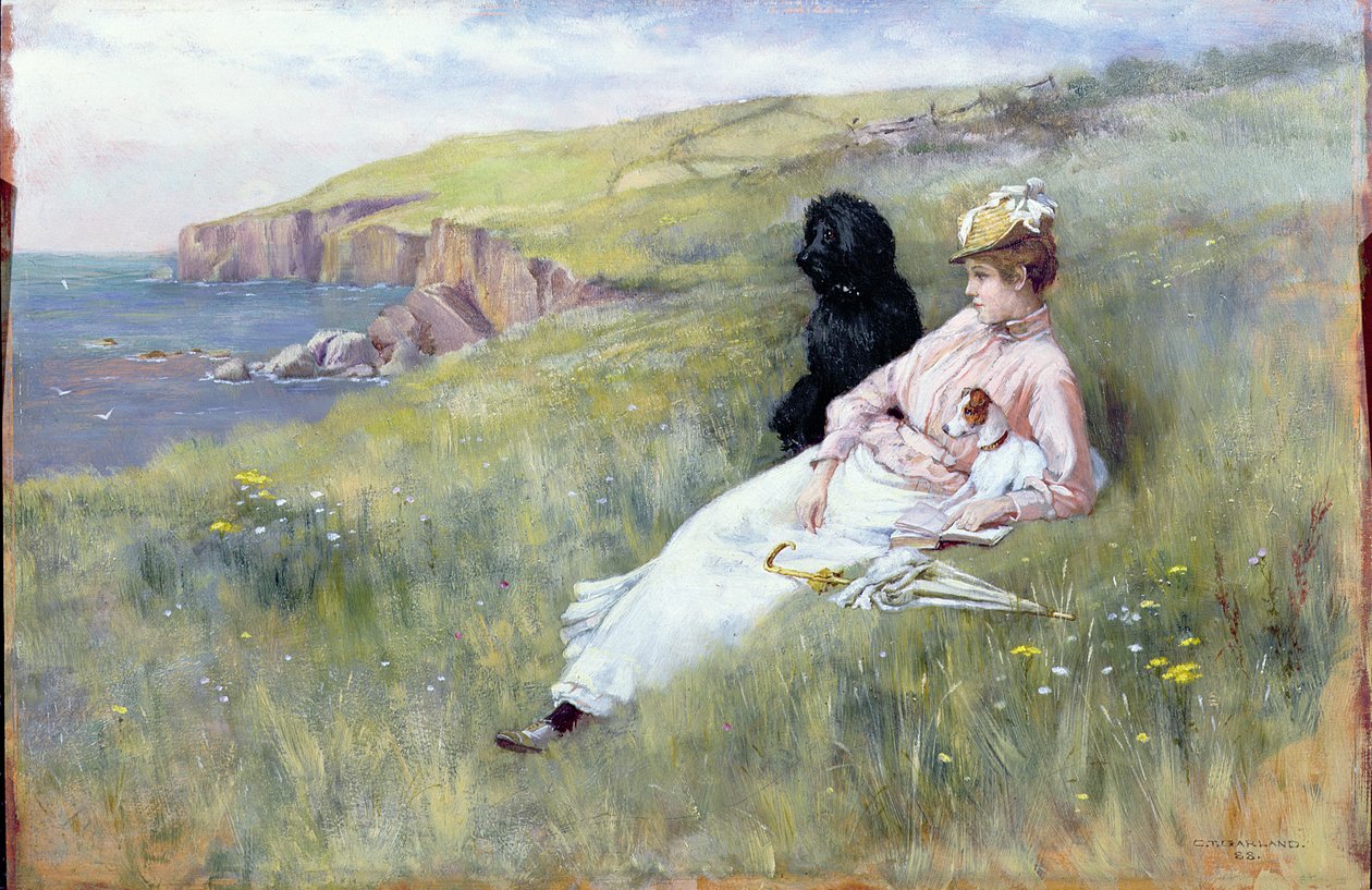 Deniz Düşleri, 1888 (panel) by Charles Trevor Garland
