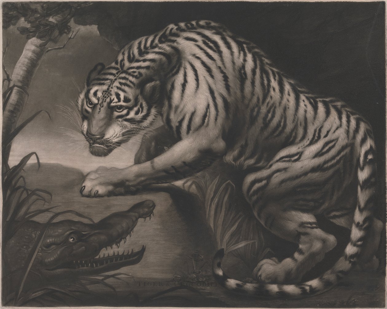 Kaplan ve Timsah by Charles Turner