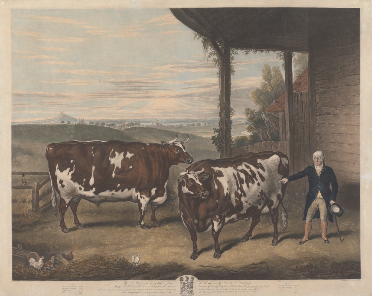 İki Durham Öküz by Charles Turner