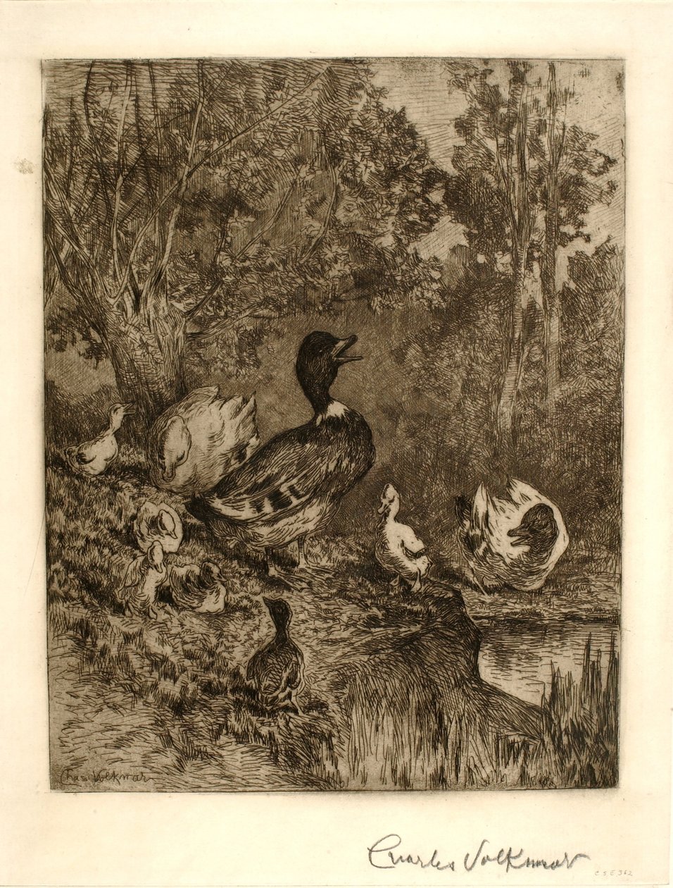 Aile Reisi by Charles Volkmar
