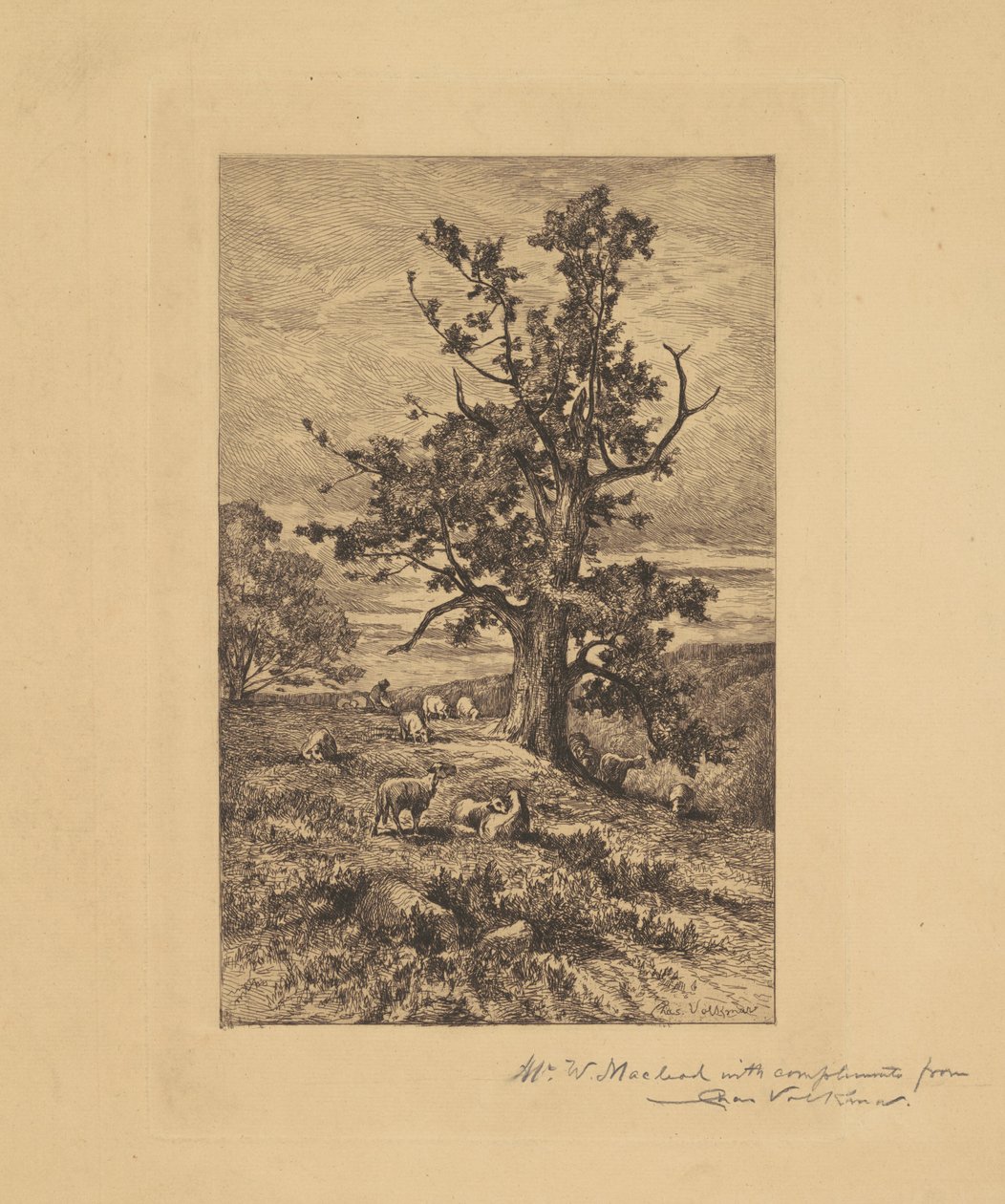 Koyunlu Manzara by Charles Volkmar