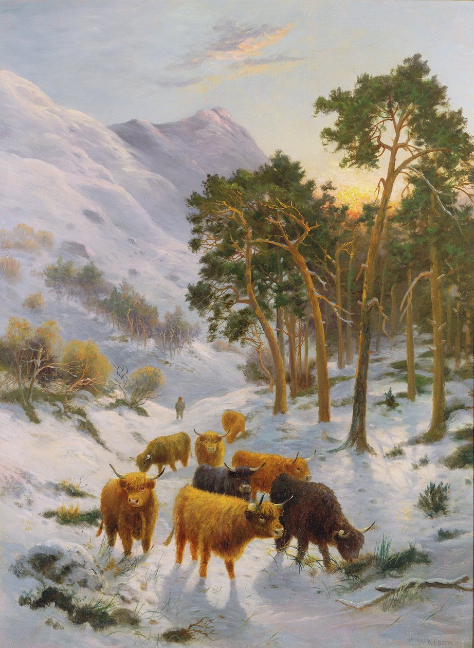 Bir Kış Manzarasında Yayla Sığırları by Charles Watson