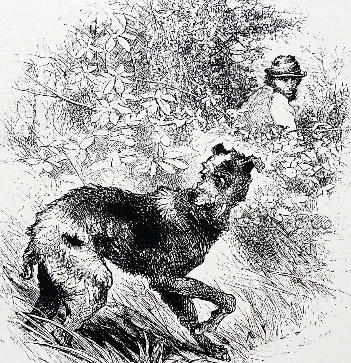 Onun lurcher ile bir kaçak avcı by Charles Whymper