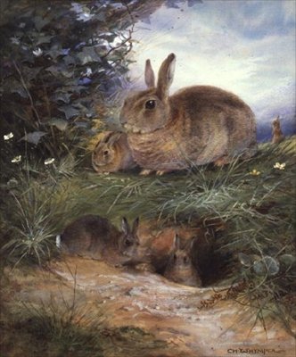 Bir Yuvanın Yanındaki Tavşanlar by Charles Whymper