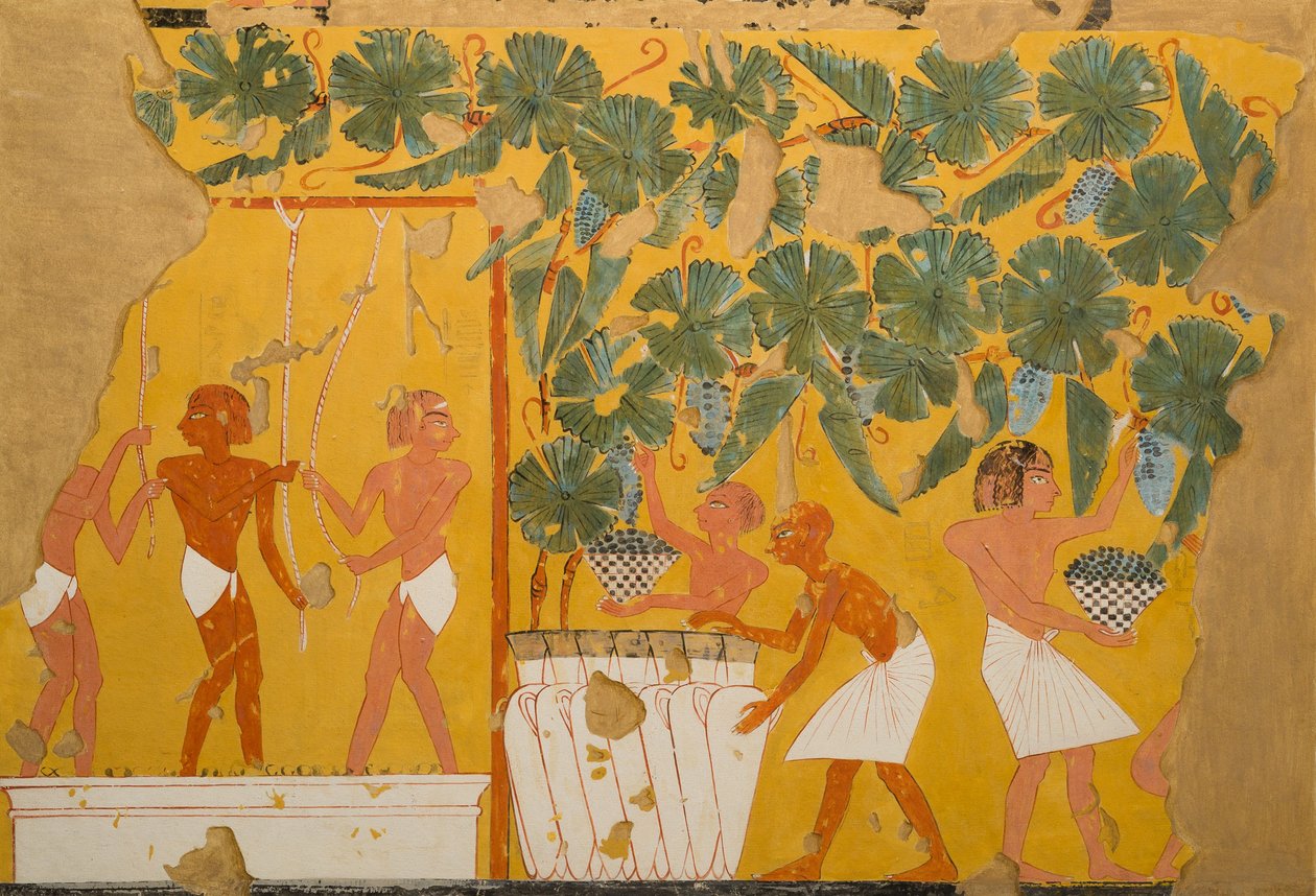 Şarapçılık, Ipuy Mezarı (kağıt üzerinde tempera) by Charles Wilkinson
