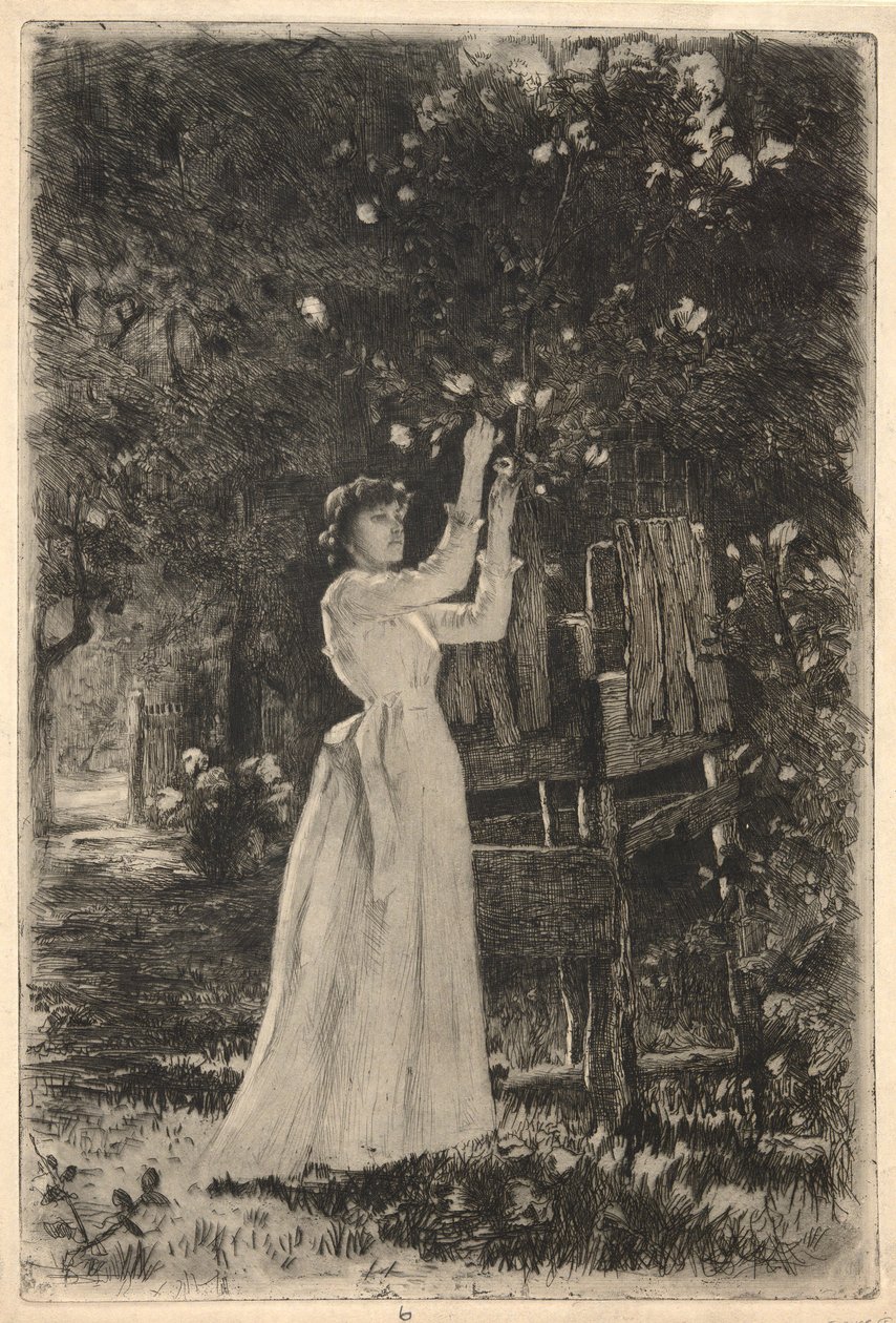 Ağaçtan Çiçek Toplayan Genç Bir Kadın by Charles Yardley Turner