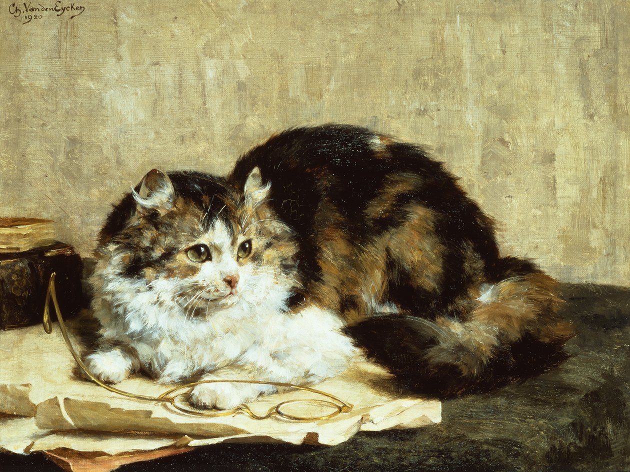 Tekir Kedi by Charles van den Eycken