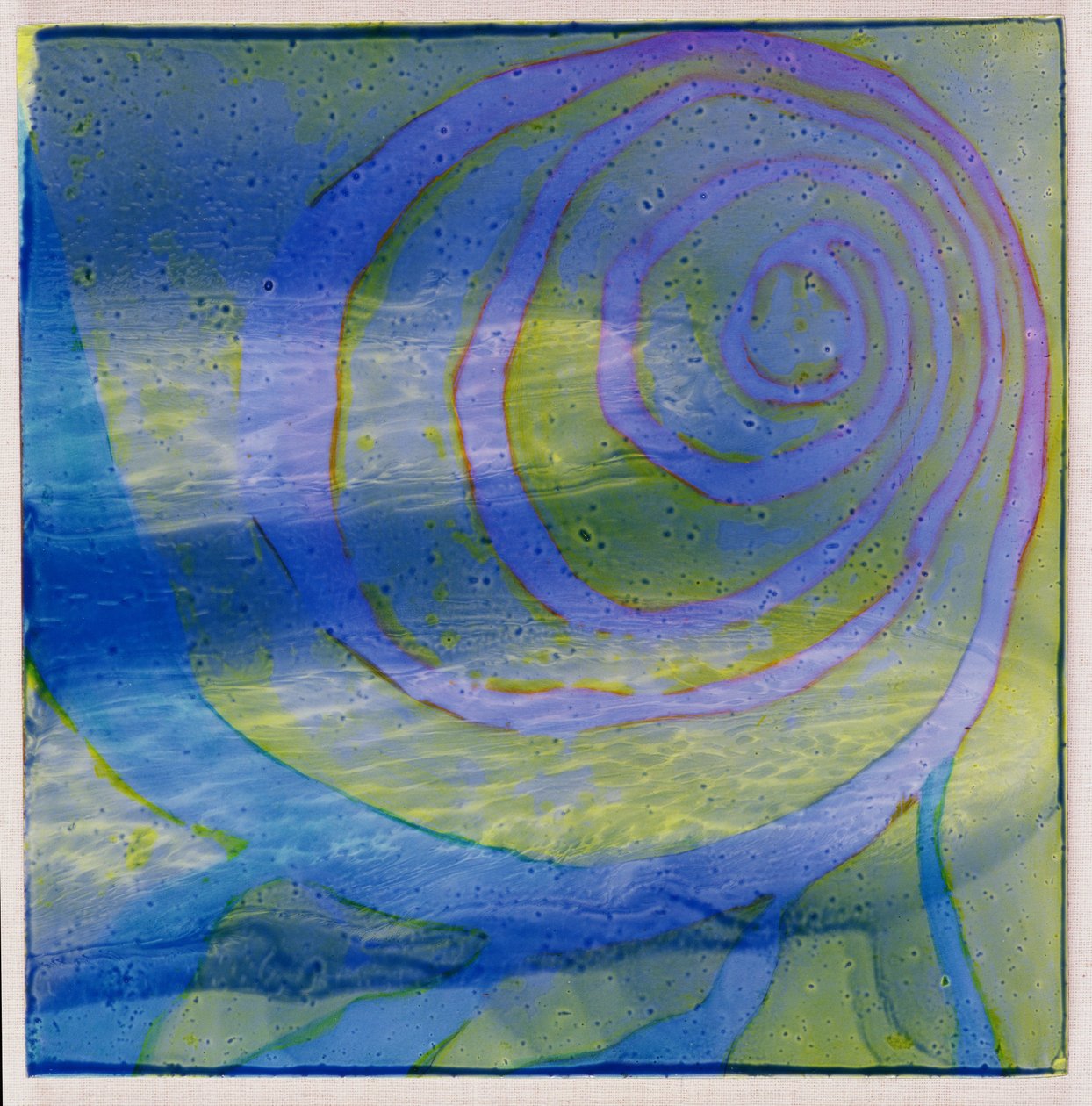 Boodhoo Lagünü, 2000 (gesso üzerine yağ) by Charlotte Johnstone