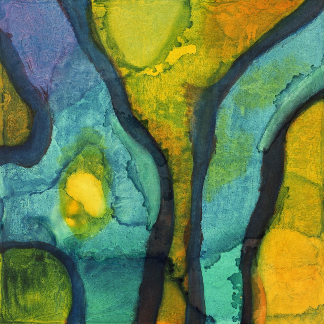Goby, 1997 (gesso tahtasında yağ ve sır) by Charlotte Johnstone