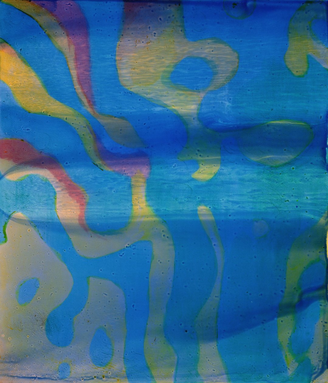 Hint Swarthy, 2000 (gesso üzerine yağ) by Charlotte Johnstone
