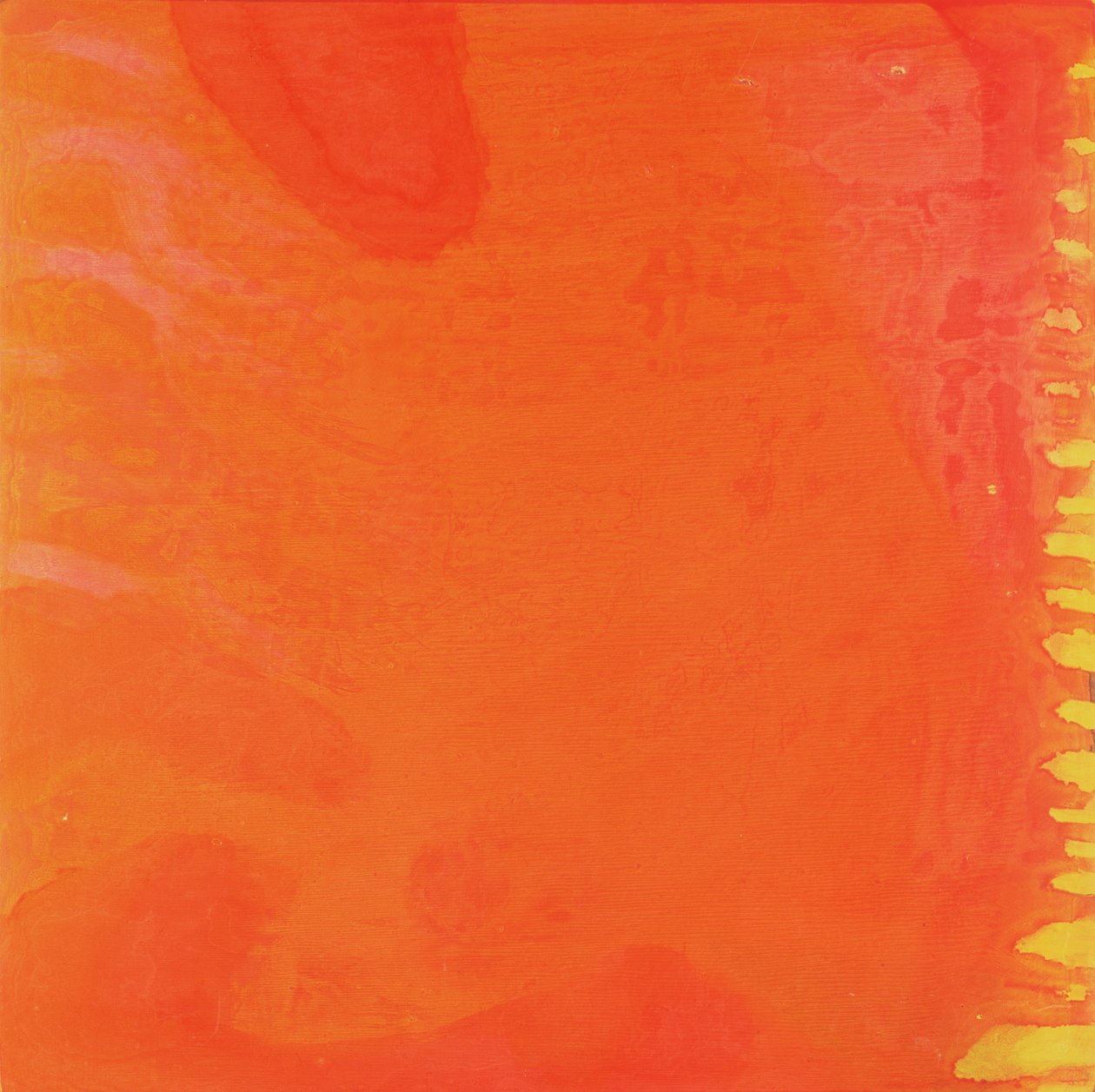 Tavşan Portakal, 1997 (gesso tahtasında yağ ve sır) by Charlotte Johnstone