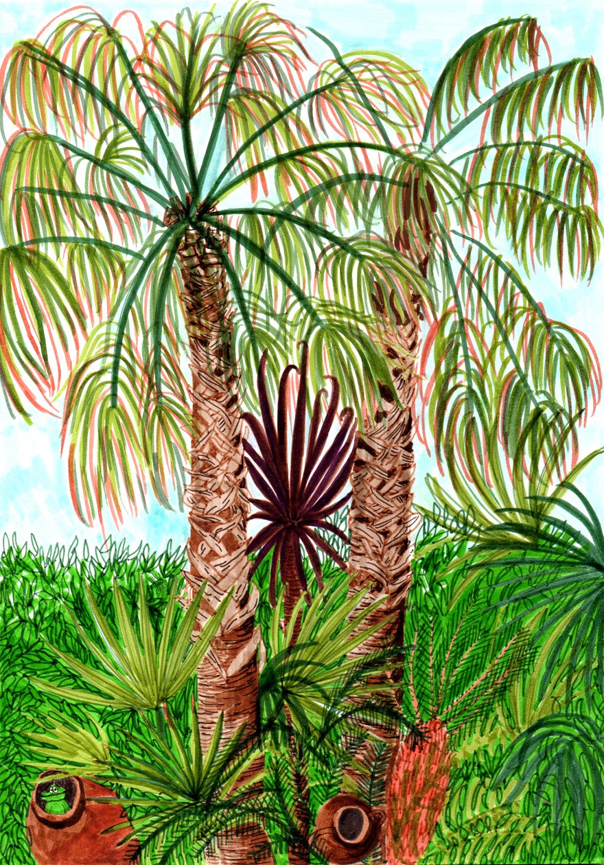 Barcelona Palms, 2017 (fırçalı kalemler) by Charlotte Orr