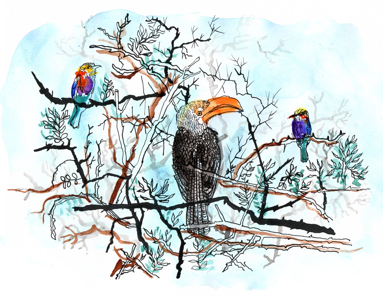 Ağaçtaki Kuş, 2018 (kalem, mürekkep ve sulu boya) by Charlotte Orr