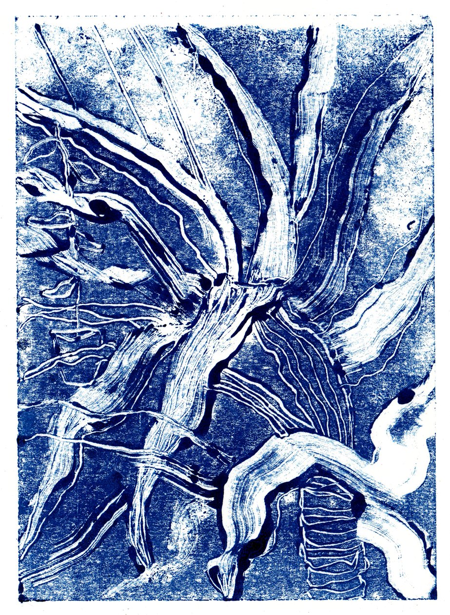 Inky Plants no.2, 2019 (tek baskı) by Charlotte Orr