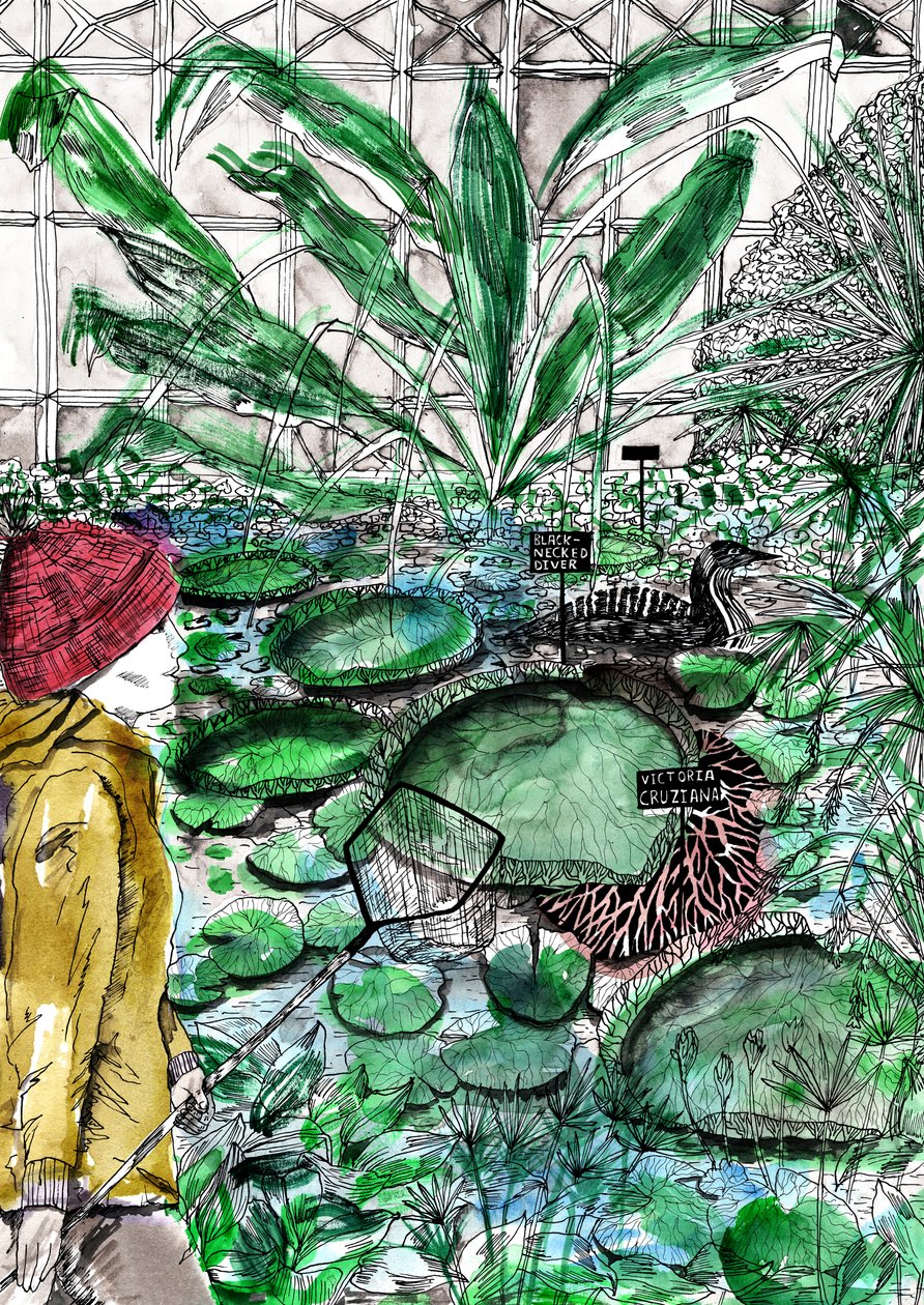 Oxford Botanik Bahçesi, 2020 by Charlotte Orr