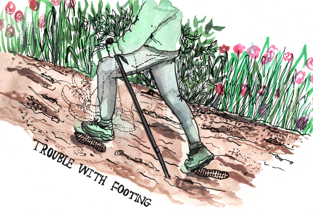 Parkinson İllüstrasyonları, 2019 (mürekkep ve sulu boya) by Charlotte Orr