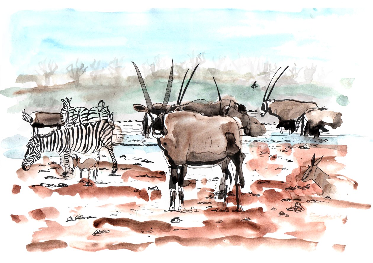 Safari, 2018 (mürekkep ve sulu boya) by Charlotte Orr