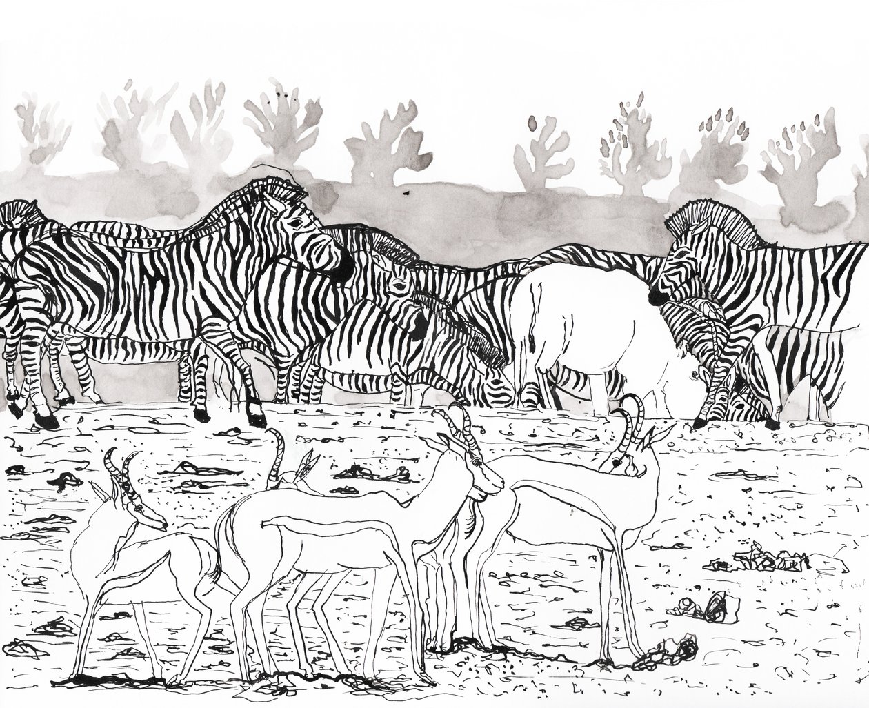 Safari 3, 2018 (mürekkep ve sulu boya) by Charlotte Orr