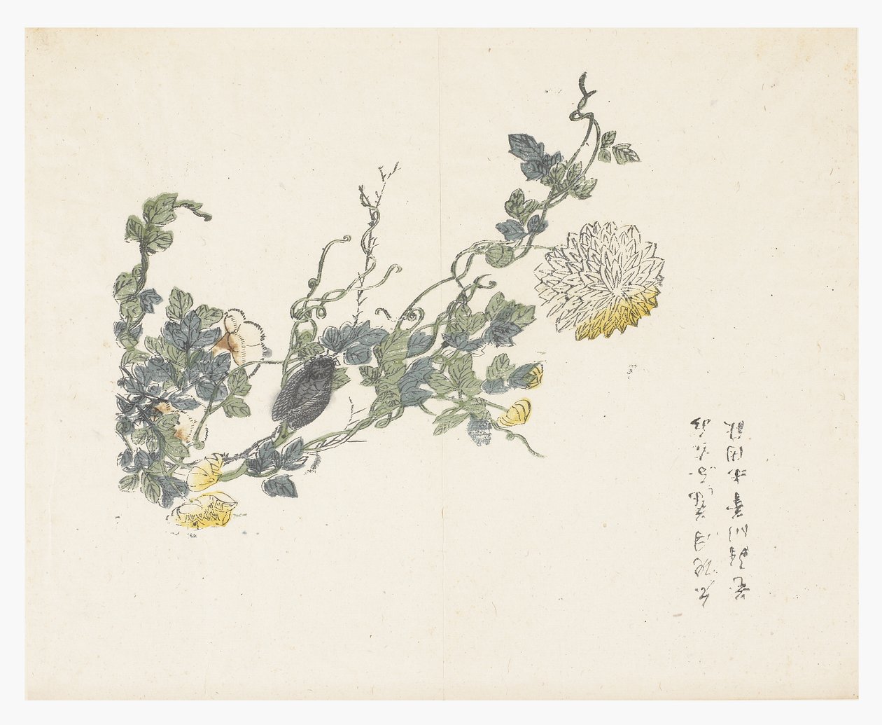 Hardal Tohumu Bahçesi by Chen Chung Jan (after)