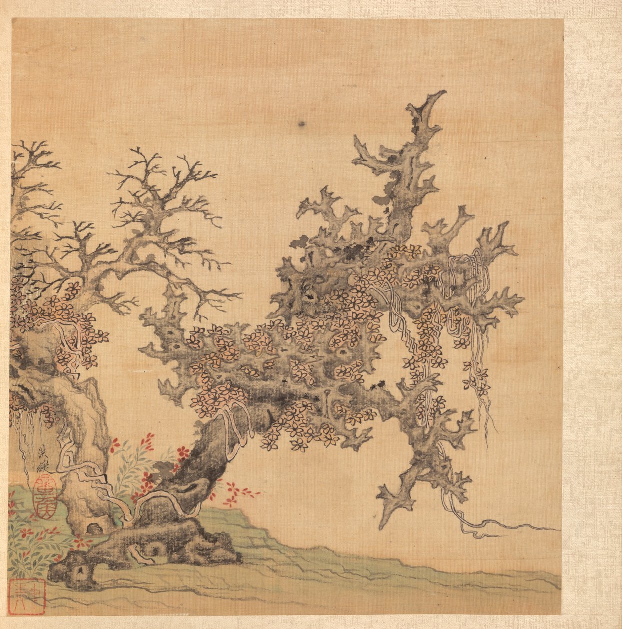 Kadim Ustalardan Sonra Resimler: Kadim Bir Ağaç, 1598-1652. by Chen Hongshou