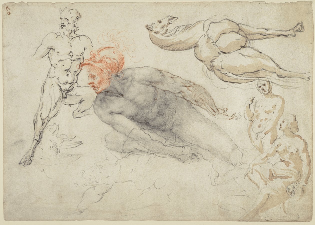  by Cherubino Alberti