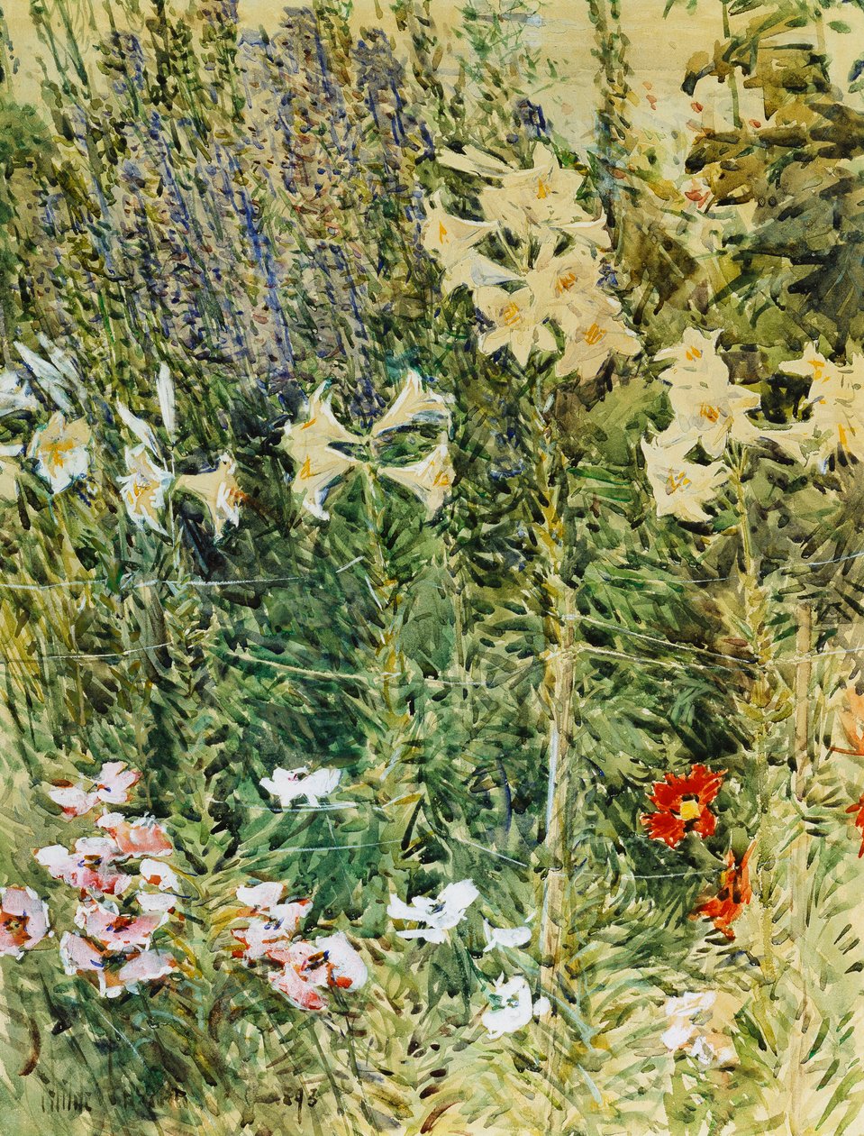 Larkspurs ve Zambaklar by Childe Frederick Hassam