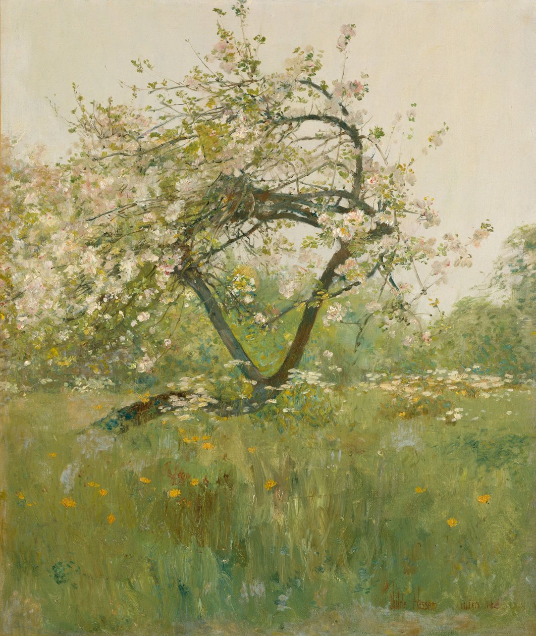 Şeftali Çiçekleri, Villiers-le-Bel by Childe Frederick Hassam