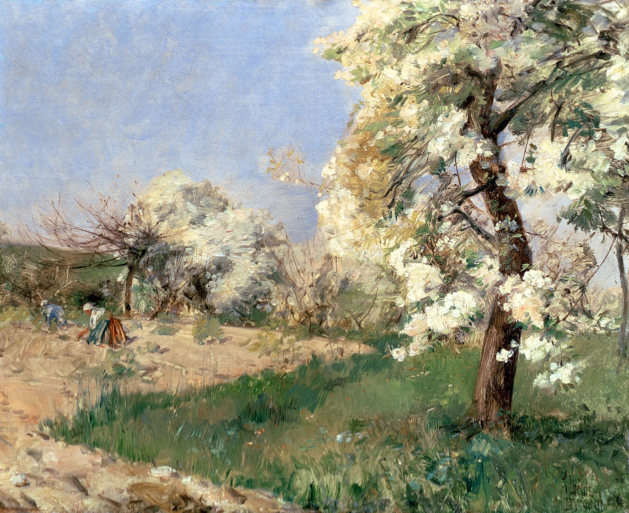 Armut Çiçekleri, Villiers-de-Bel (panelde yağ) by Childe Frederick Hassam