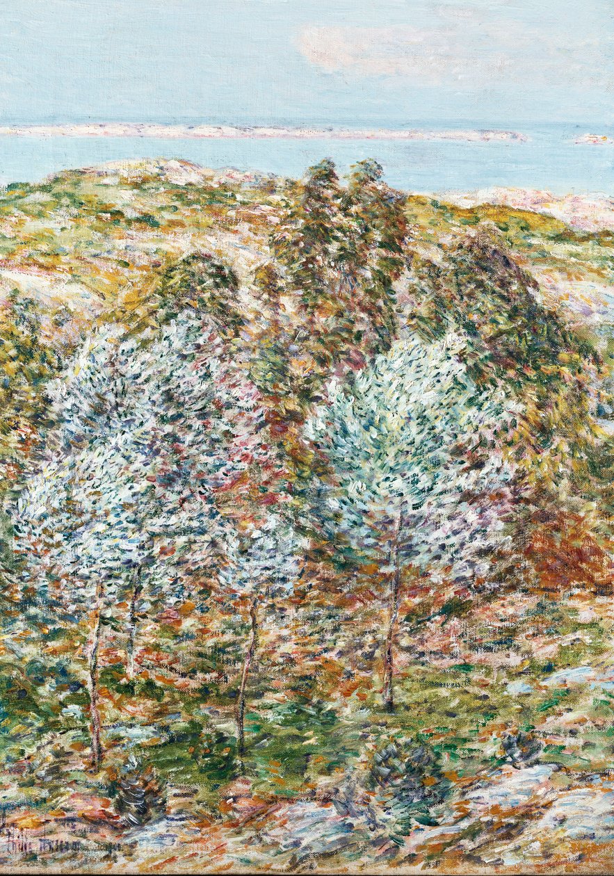 İlkbahar Vizyonu by Childe Frederick Hassam