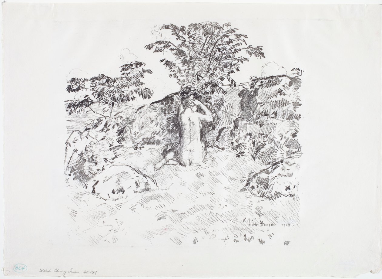 Yabani Kiraz Ağacı by Childe Frederick Hassam