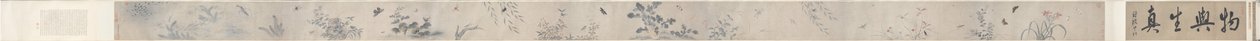 Böcekler ve Çiçekler by China, Qing dynasty