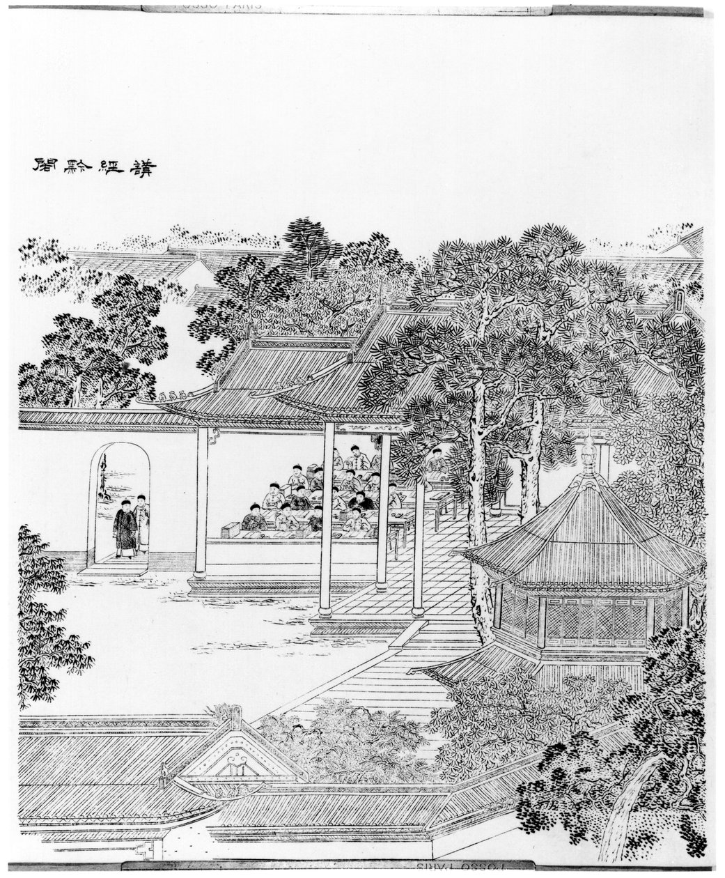 bir mandalinanın hayatı by Chinese School