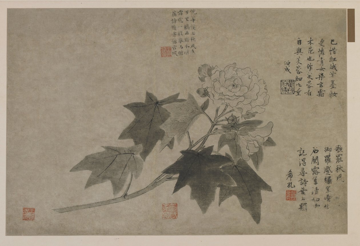 Bir ağaç şakayık dalı, muhtemelen Qing hanedanı (kağıt üzerine mürekkep) by Chinese School
