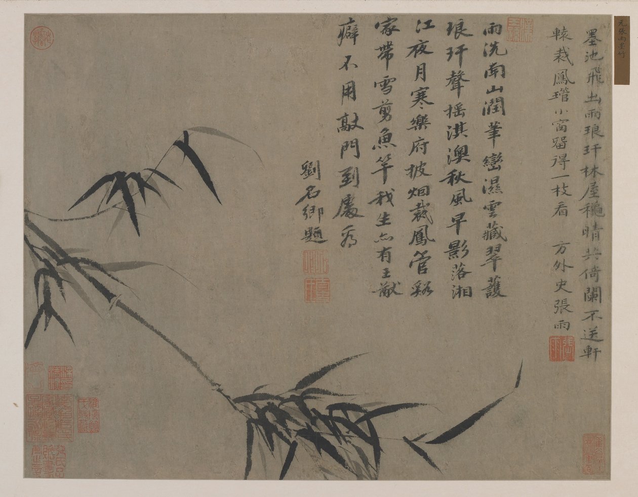 Bambu spreyi, muhtemelen Qing hanedanı (kağıt üzerine mürekkep) by Chinese School