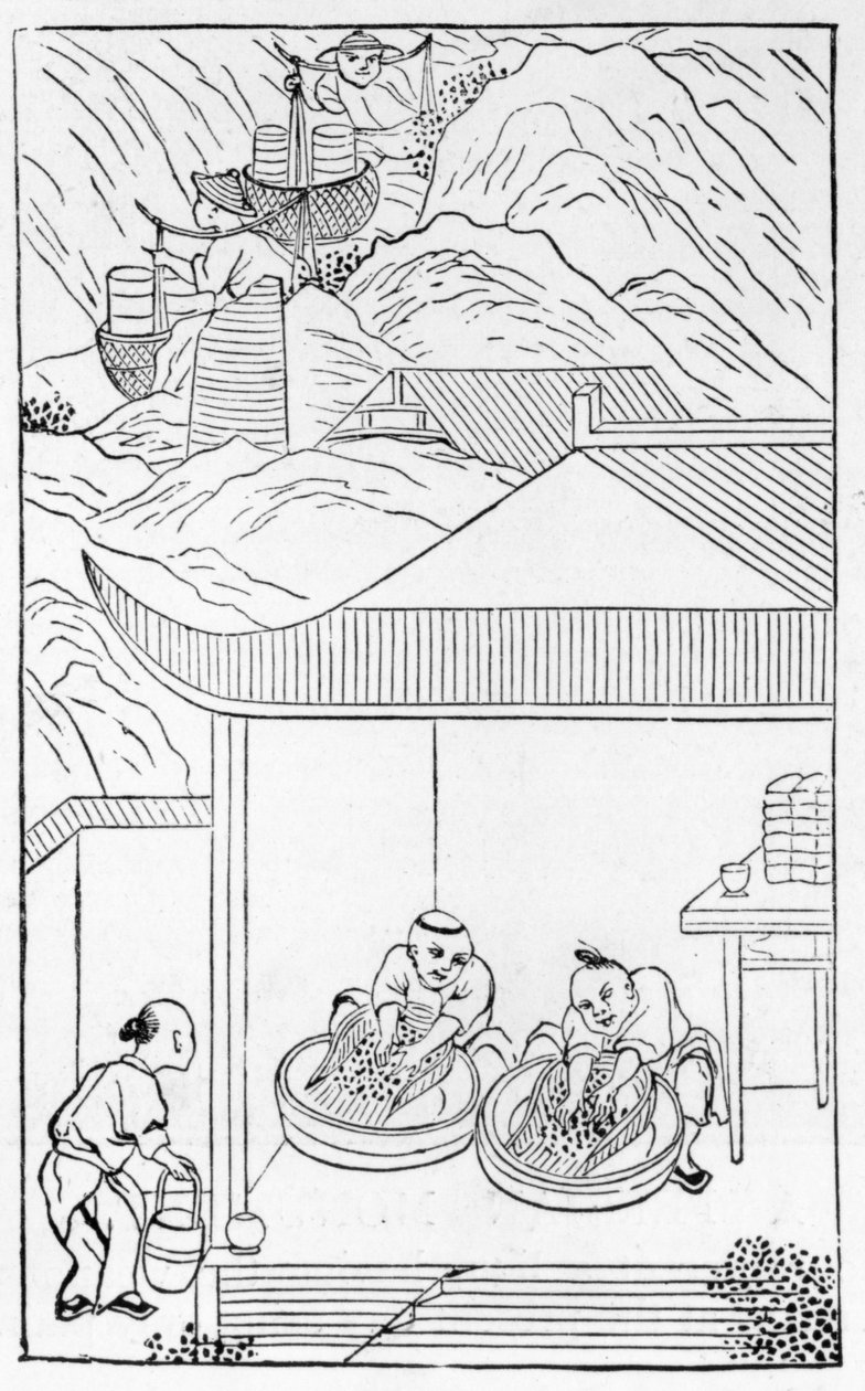 Çin üretimine ilişkin bir dizi resimden renklendirme için mavi emayenin toplanması ve yıkanması (tüm seri için bkz. 384116 ve 384117) by Chinese School