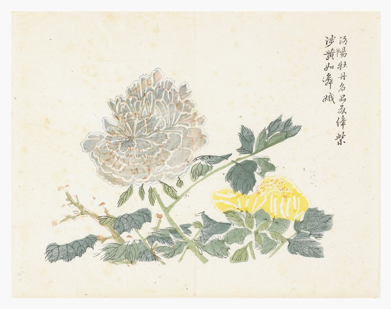 Hardal Tohumu Bahçesi by Chinese School