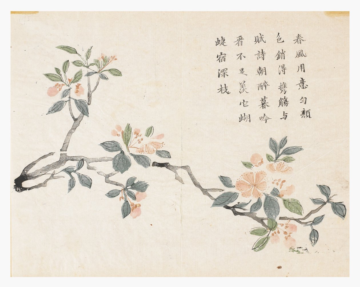 Hardal Tohumu Bahçesi by Chinese School