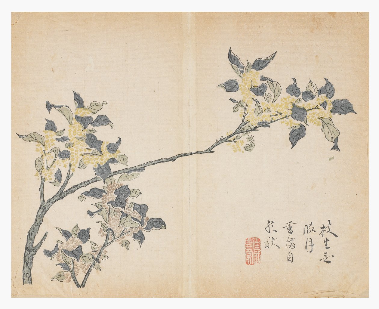Hardal Tohumu Bahçesi by Chinese School