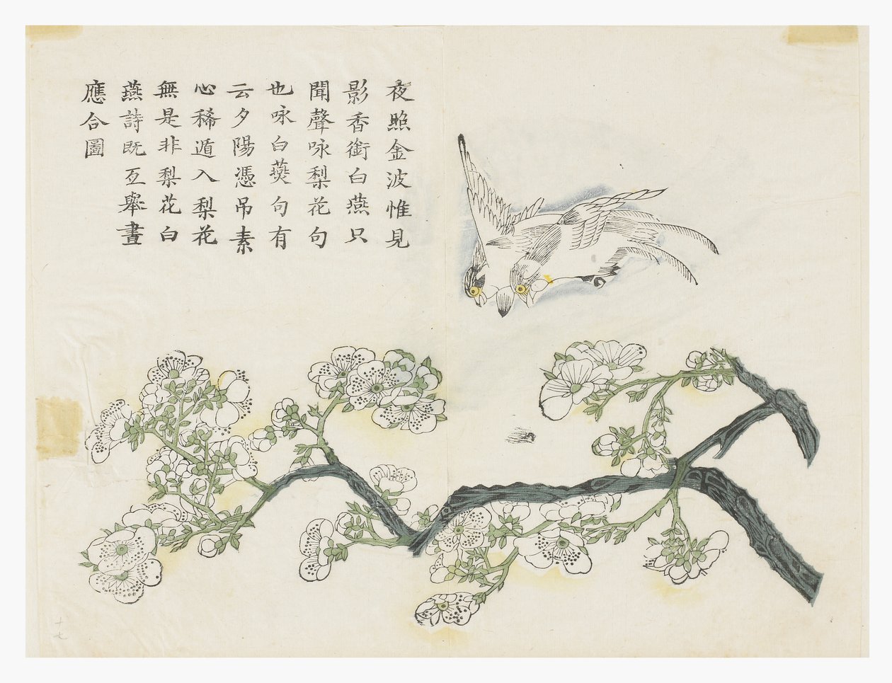 Hardal Tohumu Bahçesi by Chinese School
