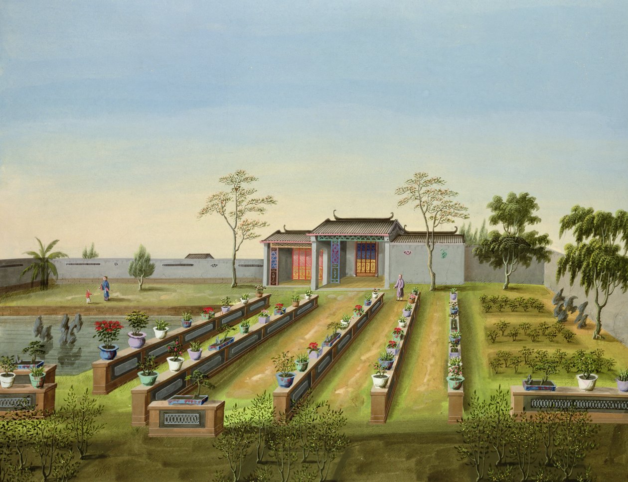 Fidanlık Bahçesi, c.1820-40 (kağıt üzeri wc) by Chinese School