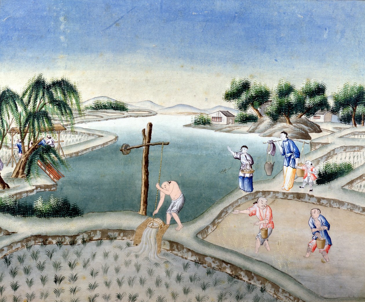 Pirinç Tarlaları (kağıt üzerinde wc) by Chinese School