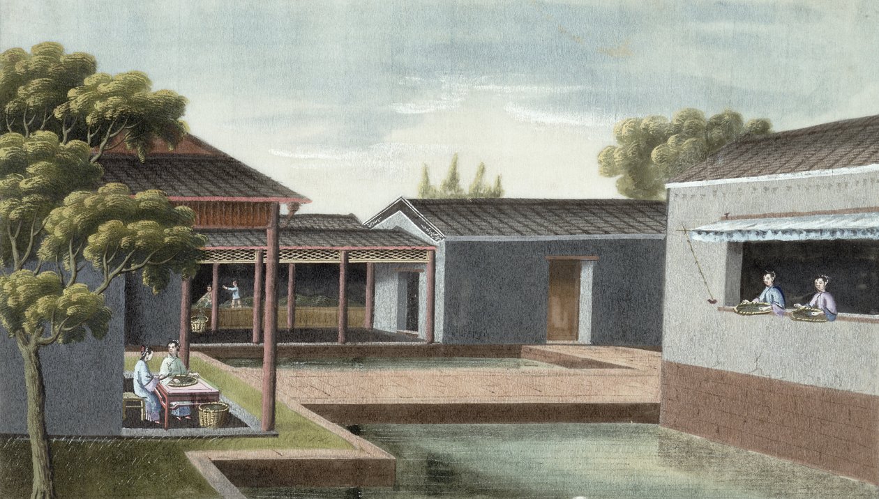 Çay ayırma (kağıt üzerinde wc) by Chinese School