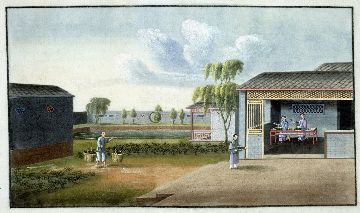 Çay ayırma (kağıt üzerinde wc) by Chinese School