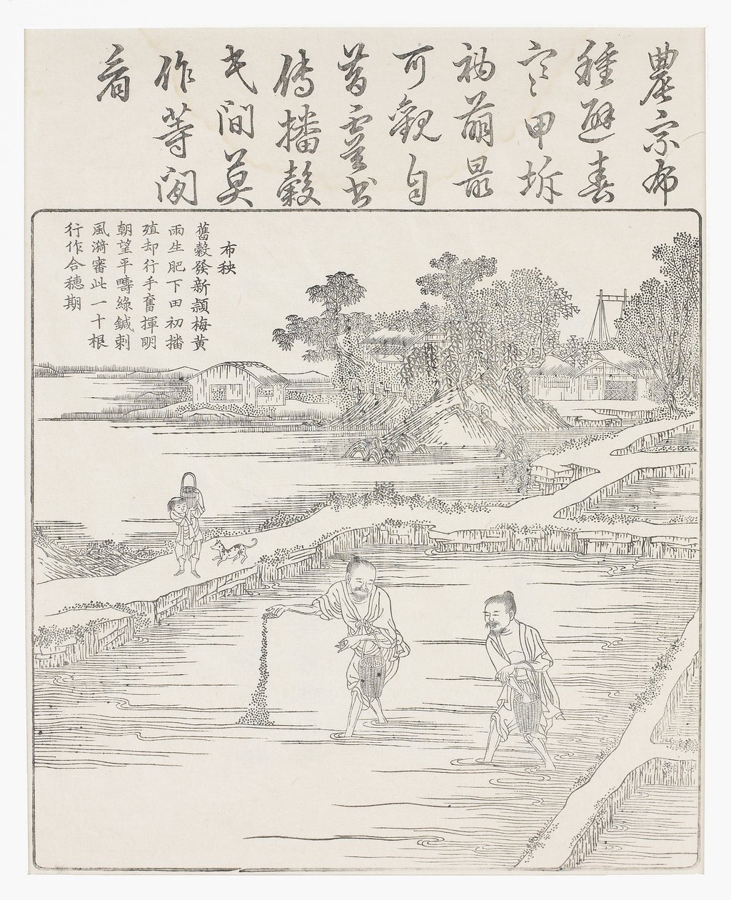 Bir tohum yatağında pirinç ekimi., 18. yüzyıl by Chinese School